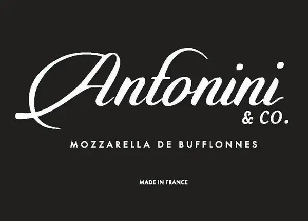 ANTONINI & CO