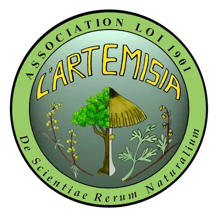 L'ARTEMISIA