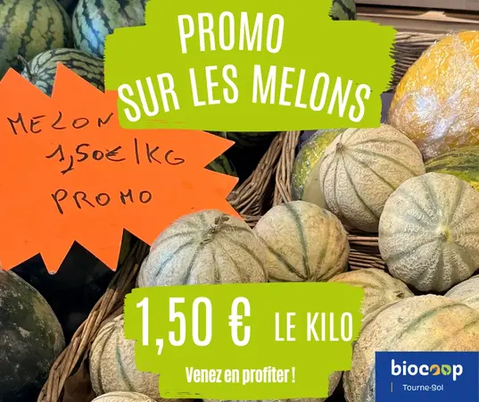 🍈 Fin de saison : les melons à petit prix !