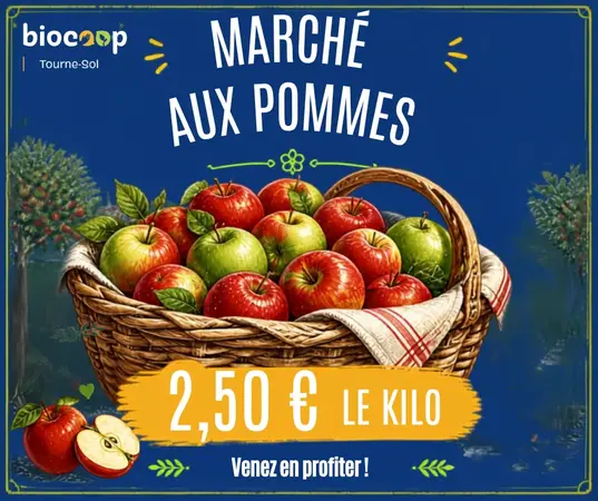 🍎 Marché aux pommes : faites le plein de pommes !